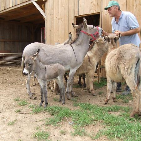 Tourist Farm Ob Izviru Krupe Villa Semic Kültér fotó